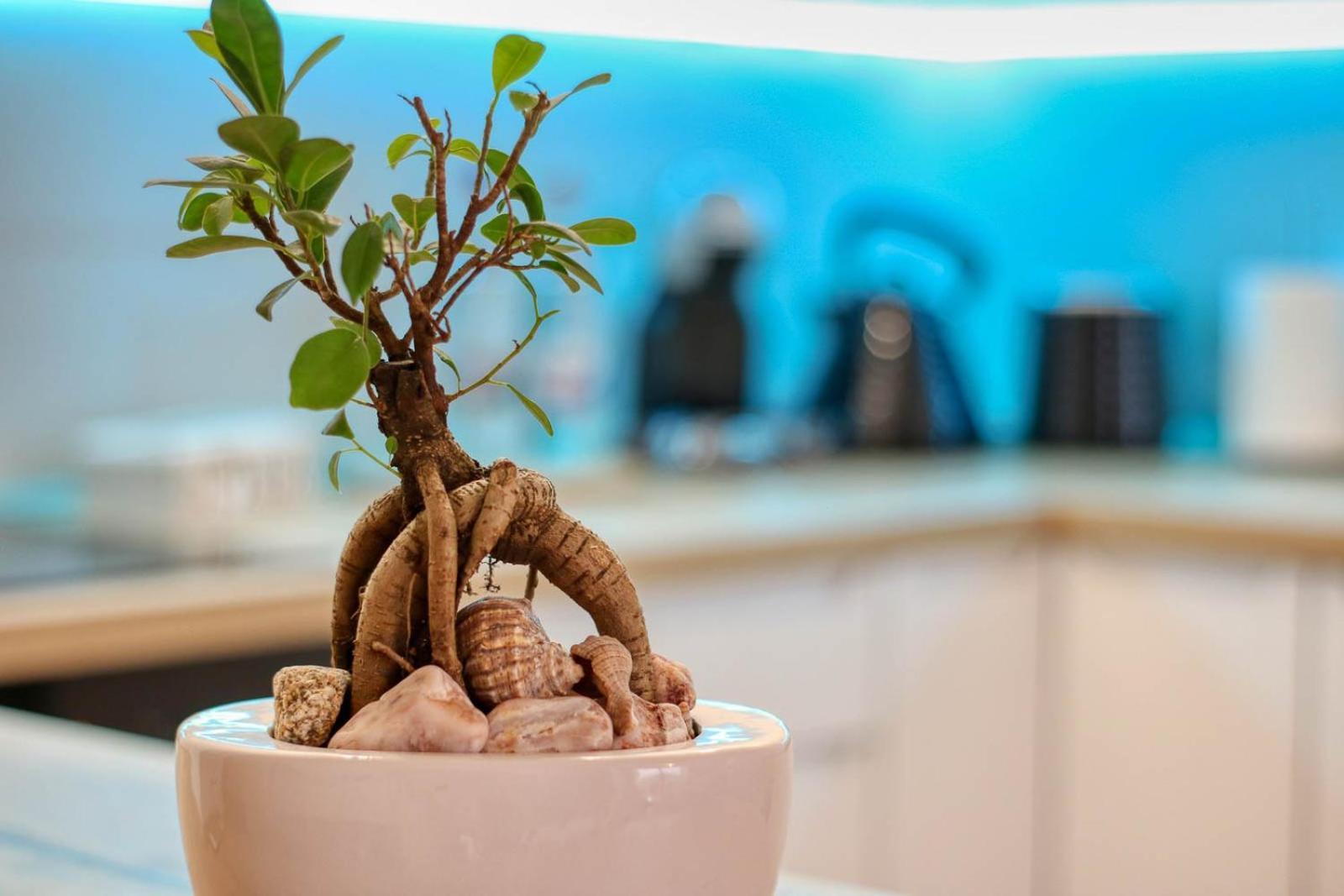 Relaxation Station - My Charming, Cosy&Inviting Apt - Smart Thermostat - Private Parking - Ior Park - Long Term Price Cuts Букурещ Екстериор снимка